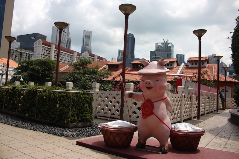 Jahr des Schweins Singapur