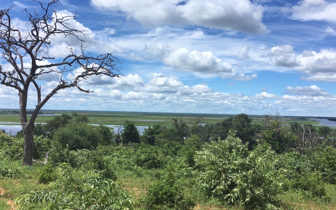 Botswana: Chobe Nationalpark